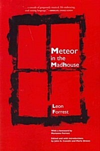 Meteor in the Madhouse (Paperback)