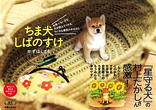 ちま犬 しばのすけ (コンペイトウ書房) (單行本)