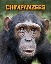 Chimpanzees (Paperback)