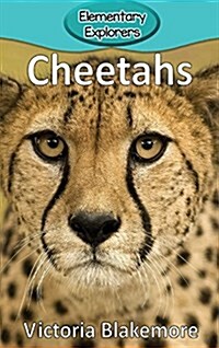 Cheetahs (Hardcover)