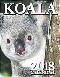 Koala 2018 Calendar (Paperback)