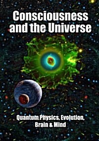 Consciousness and the Universe: Quantum Physics, Evolution, Brain & Mind (Paperback)