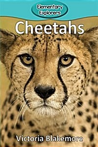 Cheetahs (Paperback)