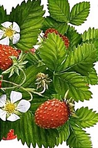 Strawberries Notebook (Paperback)