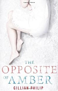 The Opposite of Amber (Paperback)