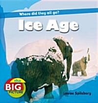 Ice Age (Paperback)