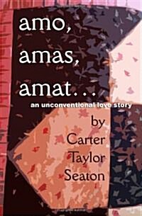 Amo, Amas, Amat...: An Unconventional Love Story (Paperback)