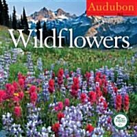 Audubon Wildflowers 2012 Calendar (Paperback, Wall)