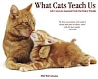 What Cats Teach Us 2012 Calendar (Paperback, Wall)