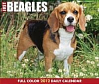 Just Beagles 2012 Calendar (Hardcover, DES, Page-A-Day )