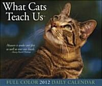 What Cats Teach Us 2012 Calendar (Hardcover, DES, Page-A-Day )