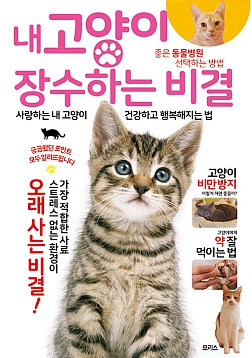 내 고양이 장수하는 비결