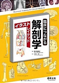 臨牀につながる解剖學イラストレイテッド (單行本)