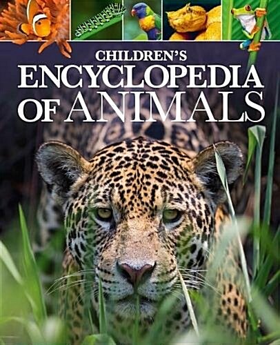 Childrens Encyclopedia of Animals (Hardcover)