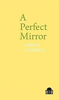 A Perfect Mirror (Paperback)