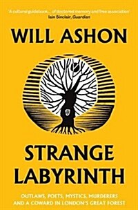 Strange Labyrinth : Outlaws, Poets, Mystics, Murderers and a Coward in Londons Great Forest (Paperback)