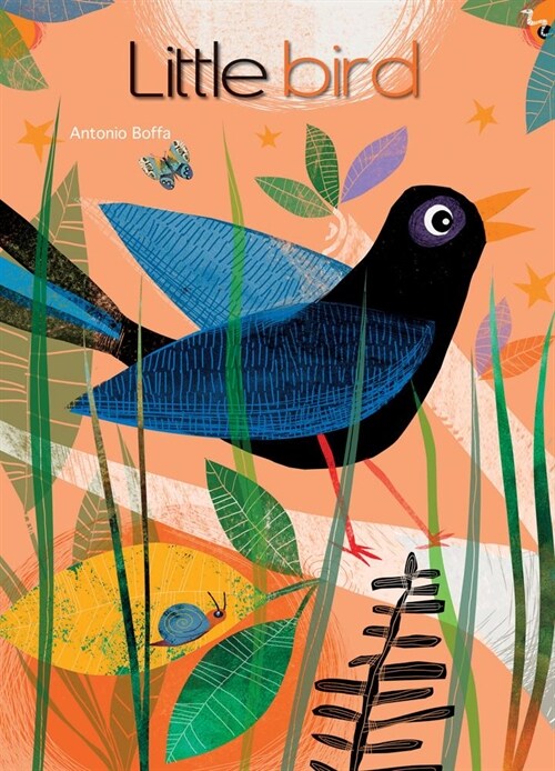 Little Bird (Board Books)