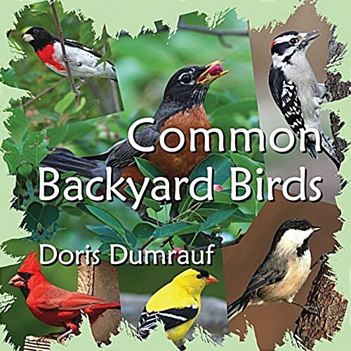 Common Backyard Birds (Paperback)