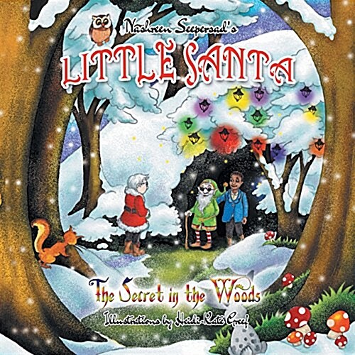 Little Santa: The Secret in the Woods (Paperback)