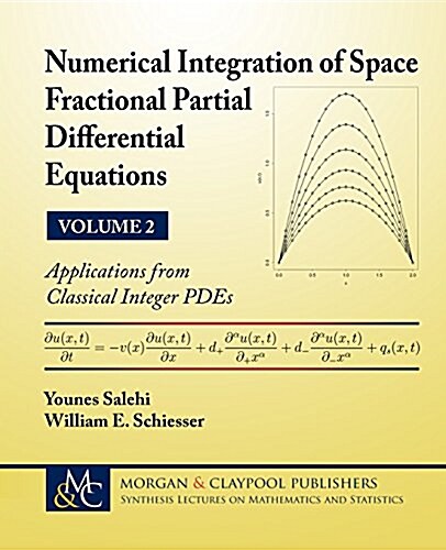 Numerical Integration of Space Fractional Partial Differential Equations: Vol 2 - Applications from Classical Integer Pdes (Paperback)