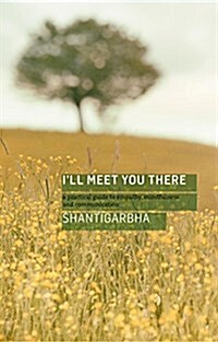 Ill Meet You There : A Practical Guide to Empathy, Mindfulness and Communication (Paperback)