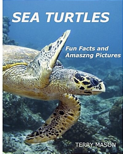 Sea Turtles: : Fun Facts and Amazing Pictures (Paperback)