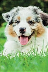 Australian Shepherd Spring Notebook & Journal. Productivity Work Planner & Idea Notepad: Brainstorm Thoughts, Self Discovery, to Do List (Paperback)