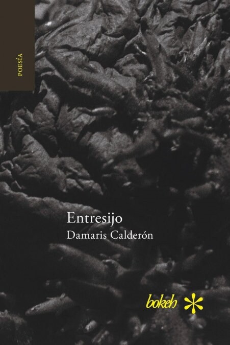 Entresijo (Paperback)