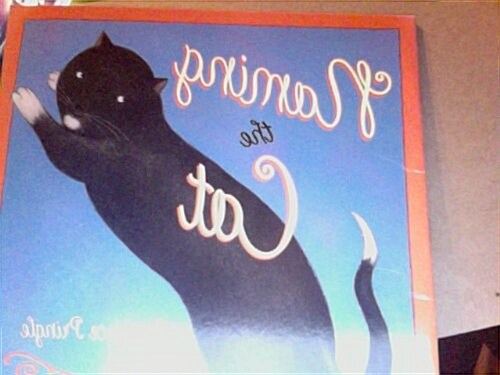 Naming Cat, Paperback Level 4 (Paperback)