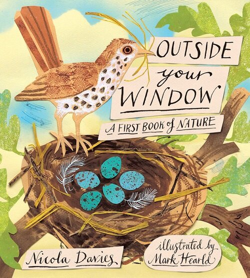 Outside Your Window: A First Book of Nature (Hardcover)