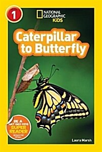 [중고] Caterpillar to Butterfly (Paperback)