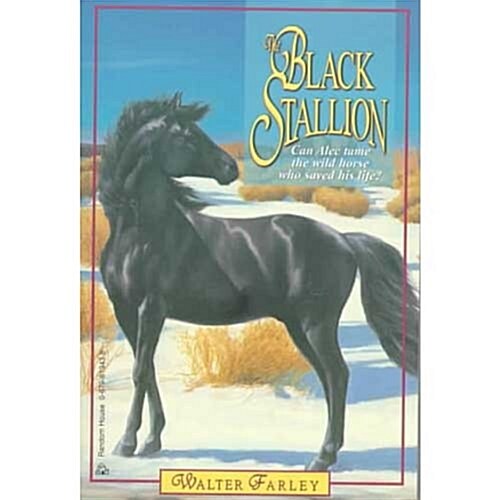 [중고] Black Stallion, Reader Grade 5 (Paperback)
