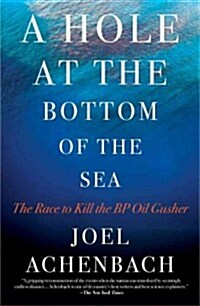 Hole at the Bottom of the Sea: The Race to Kill the BP Oil Gusher (Paperback)