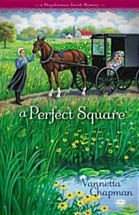 A Perfect Square (Paperback)