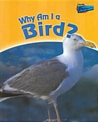 Why Am I a Bird? (Paperback)