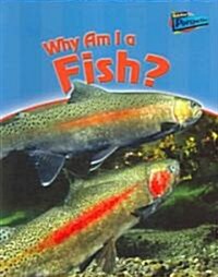 Why Am I a Fish? (Paperback)