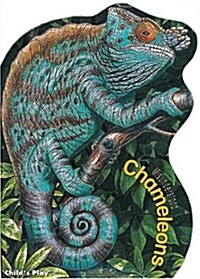 Chameleons (Board Book)