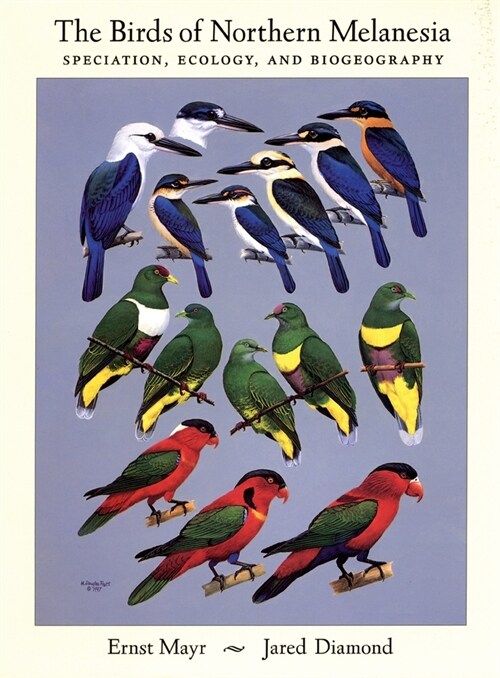 The Birds of Northern Melanesia : Speciation, Dispersal, and Biogeography (Hardcover)