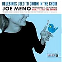 Bluebirds Used to Croon in the Choir: Stories (Hardcover)