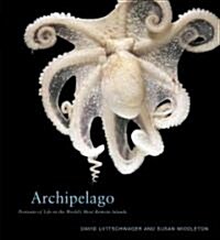 Archipelago: Portraits of Life in the Worlds Most Remote Island Sanctuary (Hardcover)