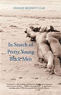 In Search of Pretty Young Black Men (Paperback)