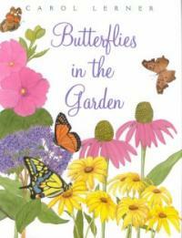 Butterflies in the garden 