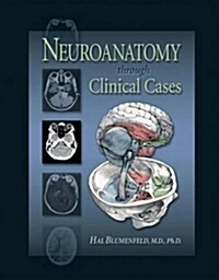 [중고] Neuroanatomy (Paperback)