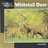 Whitetail Deer ()