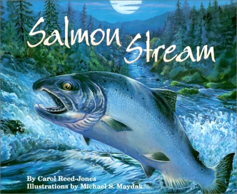 Salmon Stream (Paperback)