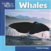 Whales (Paperback)