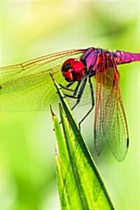 Dragonfly on a Blade of Grass Journal: Take Notes, Write Down Memories in this 150 Page Lined Journal (Paperback)