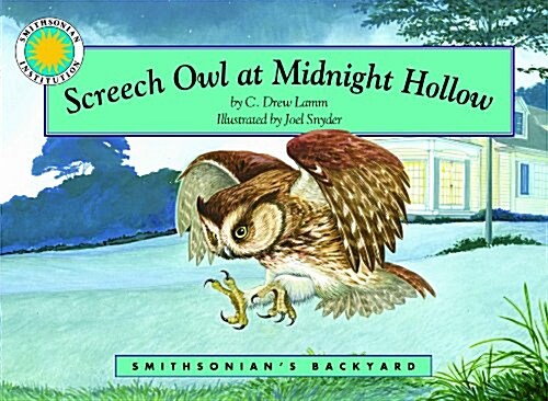 Screech Owl at Midnight Hollow (Hardcover)