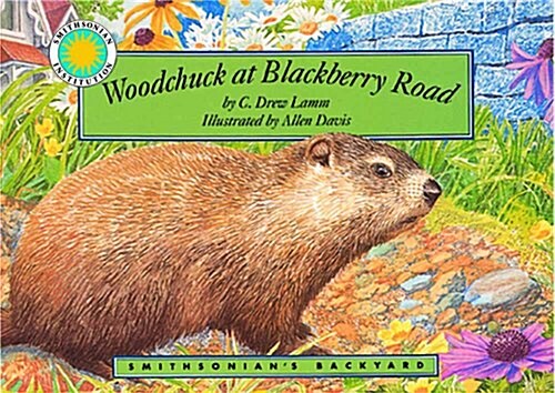 Woodchuck at Blackberry Road (Hardcover)