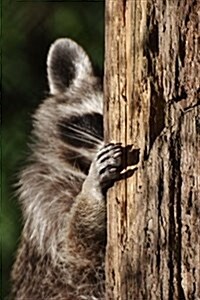 Raccoon Playing Peek a Boo Journal: Take Notes, Write Down Memories in this 150 Page Lined Journal (Paperback)